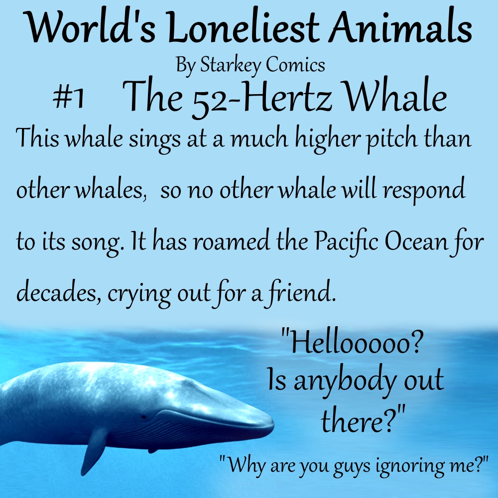 The World's Loneliest Animals - Starkey Comics